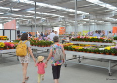 Blik in de showkas van Dümmen Orange